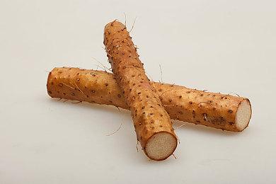 《光明记忆：无限》14分钟4K画质演示 11月12日推出